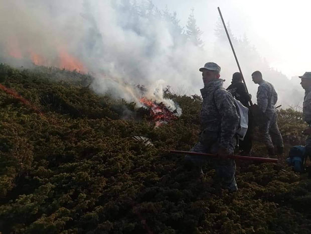ТРАВА ГОРИ КАО БАРУТ, ПЛАМЕН РАСПИРУЈЕ ВЕТАР: Три дана борбе са ватреном стихијом која гута Стару планину (ФОТО/ВИДЕО)